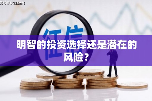 昌邑明智的投资选择还是潜在的风险？