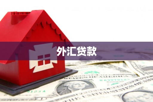 昌邑外汇贷款