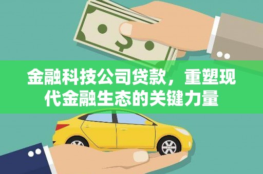 昌邑金融科技公司贷款，重塑现代金融生态的关键力量
