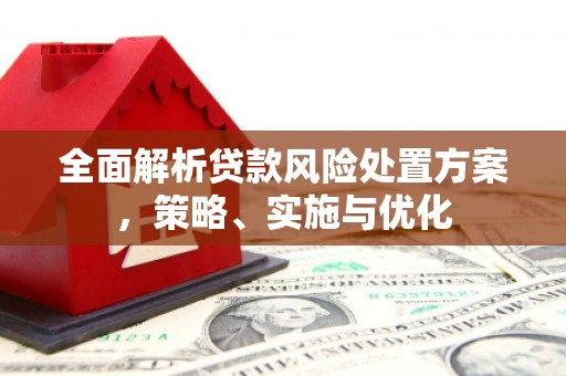 昌邑全面解析贷款风险处置方案，策略、实施与优化
