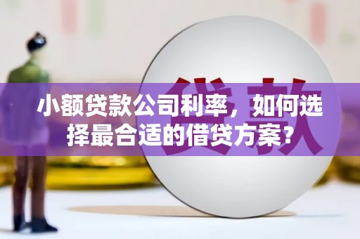 昌邑小额贷款公司利率，如何选择最合适的借贷方案？