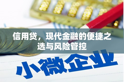 昌邑信用贷，现代金融的便捷之选与风险管控