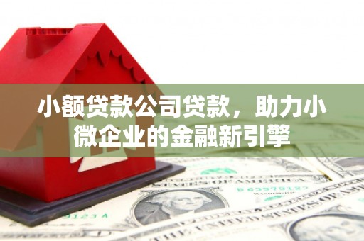 昌邑小额贷款公司贷款，助力小微企业的金融新引擎
