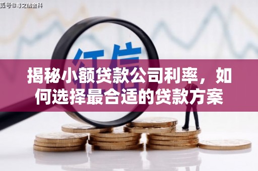 昌邑揭秘小额贷款公司利率，如何选择最合适的贷款方案