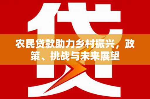 昌邑农民贷款助力乡村振兴，政策、挑战与未来展望