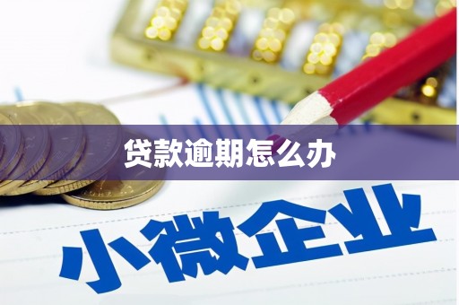 昌邑贷款逾期怎么办