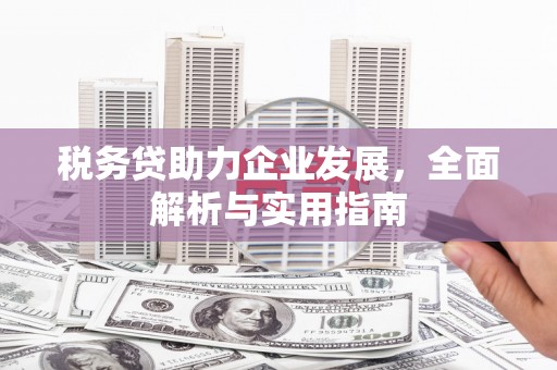 昌邑税务贷助力企业发展，全面解析与实用指南