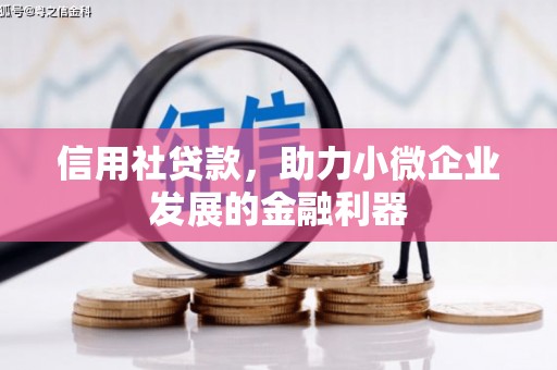 昌邑信用社贷款，助力小微企业发展的金融利器