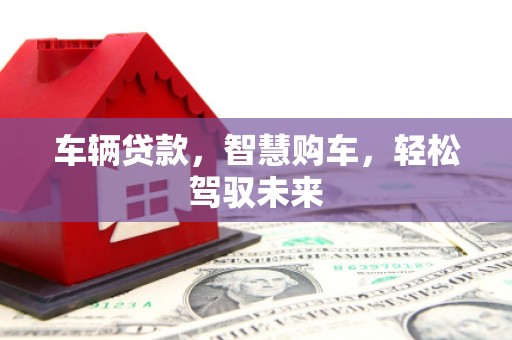 昌邑车辆贷款，智慧购车，轻松驾驭未来