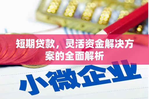昌邑短期贷款，灵活资金解决方案的全面解析