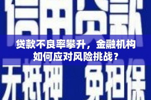昌邑贷款不良率攀升，金融机构如何应对风险挑战？