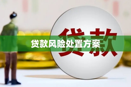 昌邑贷款风险处置方案