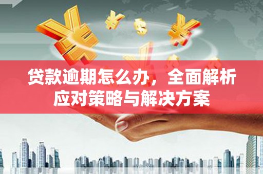 昌邑贷款逾期怎么办，全面解析应对策略与解决方案