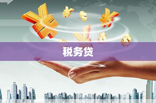 昌邑税务贷